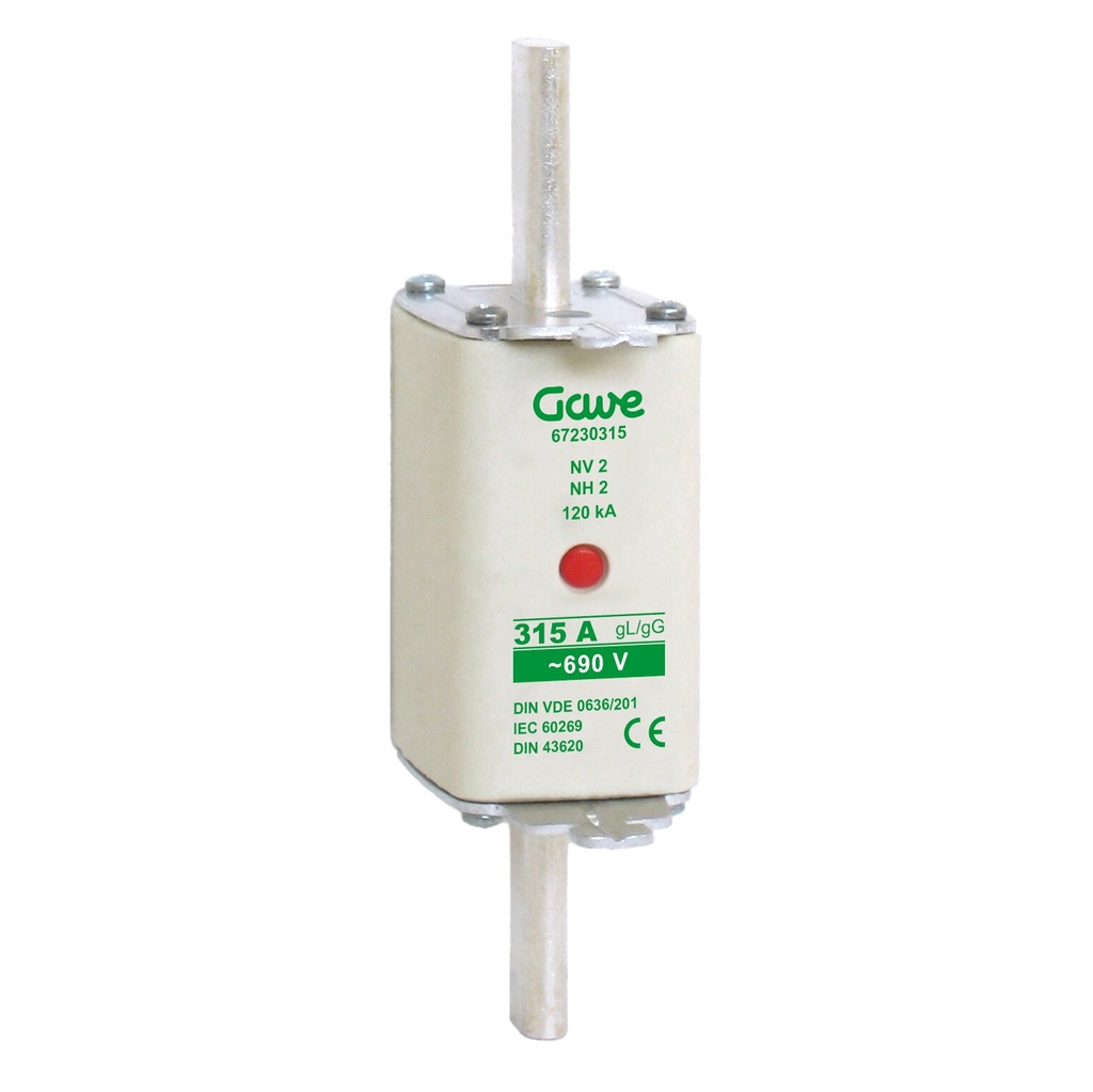 FUSIBLE NH IND.FUSION 315A.AM T2 GAVE