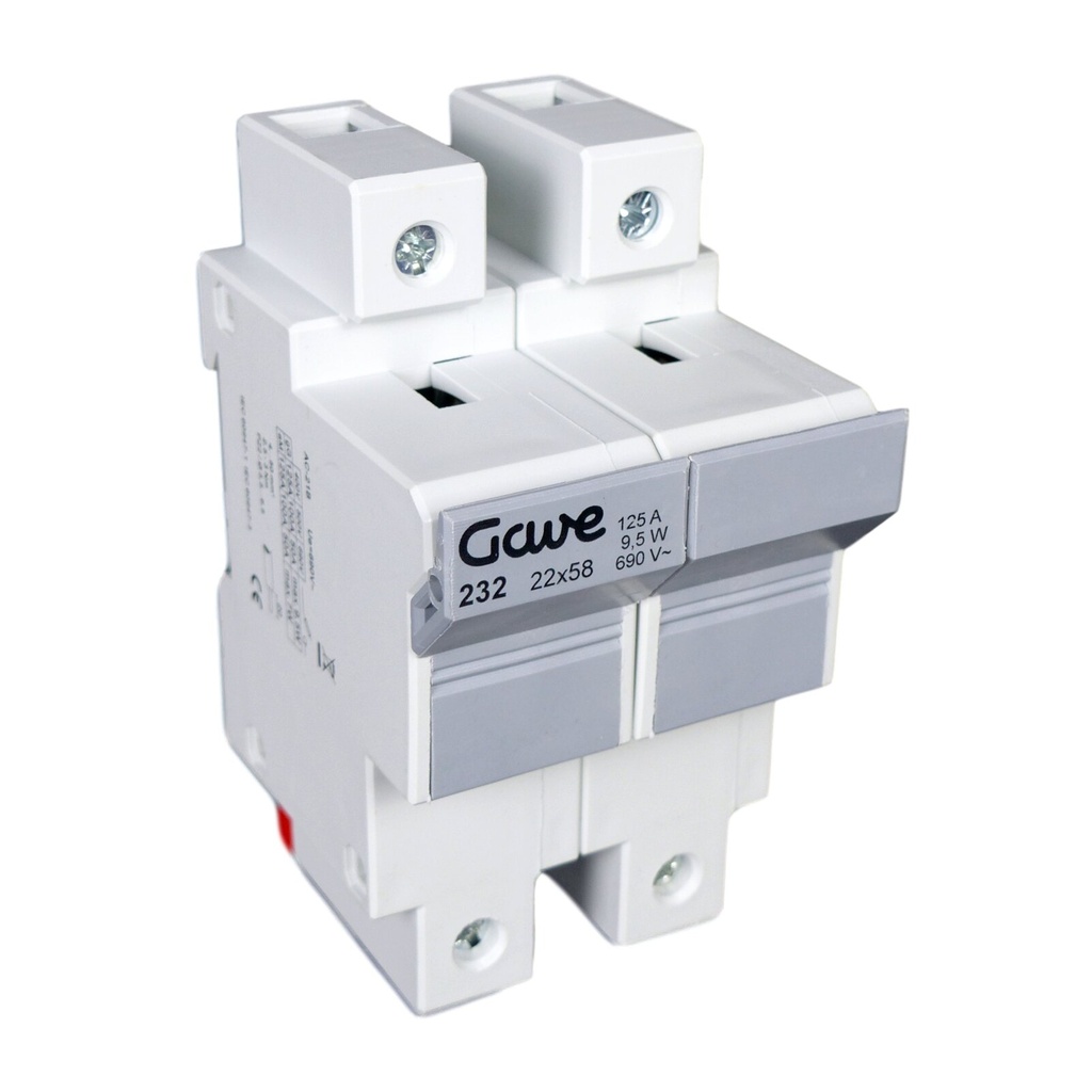 PORTAFUSIBLE  22X58 2P 100A.RAIL DIN