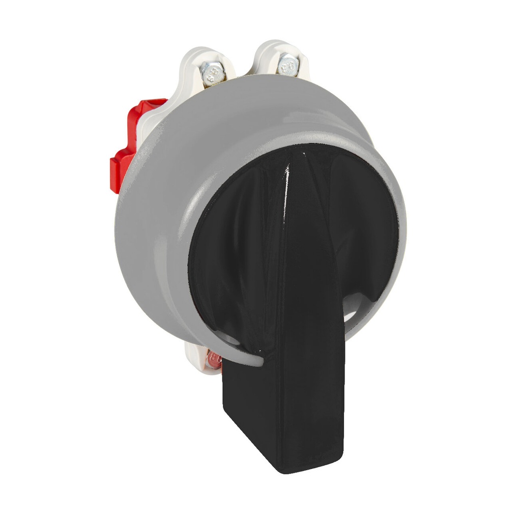 INTERRUPTOR 2P GAVE 25A.D0 MANDO BLOQUEO CANDADO IP69K NEGRO/GRIS