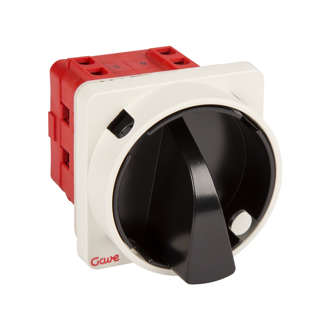 INTERRUPTOR GAVE 4P.25A. D1 BLOQUEO CANDADO NEGRO/GRIS